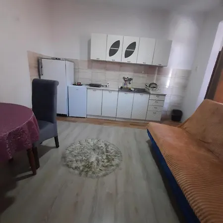 Lejlighed Maja Bajina Basta